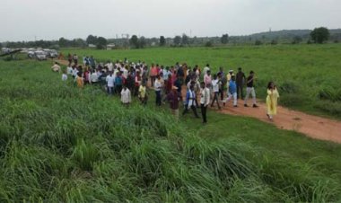 लेमनग्रास की खेती- किसानों के लिए कमाई का उत्तम विकल्प