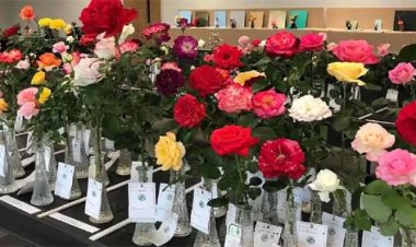 45 वीं अखिल भारतीय गुलाब प्रदर्शनी का शुभारंभ 10 जनवरी को