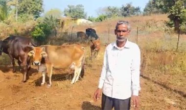 कृत्रिम गर्भाधान से नस्ल सुधार और दूध उत्पादन में बढ़ोतरी