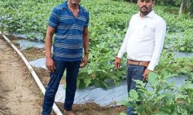 राष्ट्रीय कृषि विकास योजना से बदली किसान की किस्मत