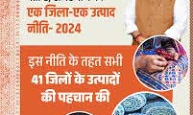 स्थानीय उद्योगों को मजबूती देती है, राजस्थान की एक जिला एक उत्पाद नीति- 2024
