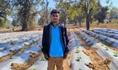 आधुनिक खेती से बदली तस्वीर