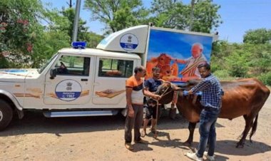 पशुपालन एवं पशु कल्याण को लेकर प्रदेश भर में चलेगा एक माह का जागरूकता अभियान