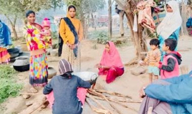 छिंद के पेड़ों से बदल रही दीदियों की किस्मत,