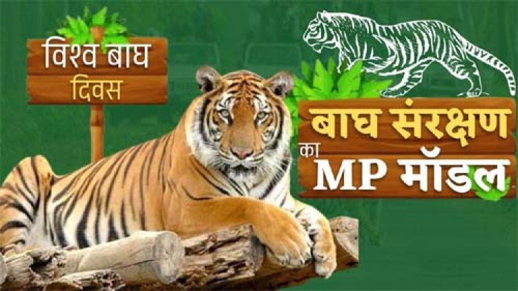 बाघ संरक्षण की वैश्विक मिसाल बना मध्यप्रदेश