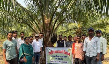 छत्तीसगढ़ के किसानों ने ओडिशा में देखी ऑयल पाम की खेती