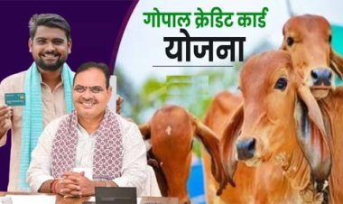 गोपाल क्रेडिट कार्ड योजना में अनियमितताओं पर सख्त कार्रवाई, 181 हेल्पलाइन से 90 हजार लाभार्थियों से फीडबैक: सहकारिता राज्य मंत्री