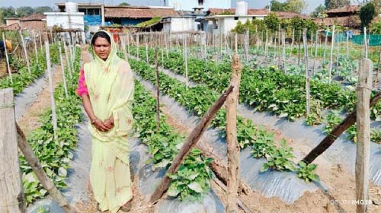 बिहान योजना से आत्मनिर्भर बनी ग्राम झलमला की जानकी धुर्वे