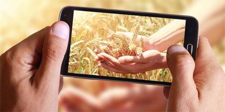 डिजिटल नवाचार से ग्रामीण सशक्तिकरण की मिसालः रायगढ़ की 550 पंचायतों में ‘रोजगार सह आवास दिवस’ पर उमड़ा जनसैलाब