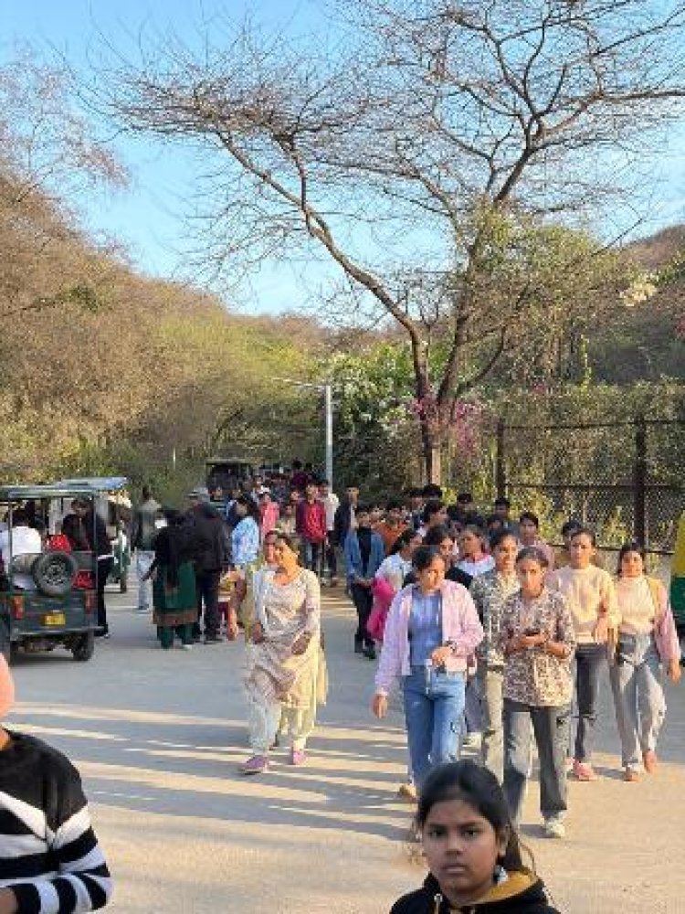 नाहरगढ़ जैविक उद्यान में वन्यजीवों के दीदार के लिए उमड़ा सैलानियों का सैलाब