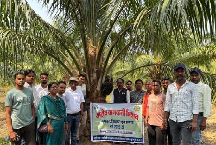 छत्तीसगढ़ के किसानों ने ओडिशा में देखी ऑयल पाम की खेती