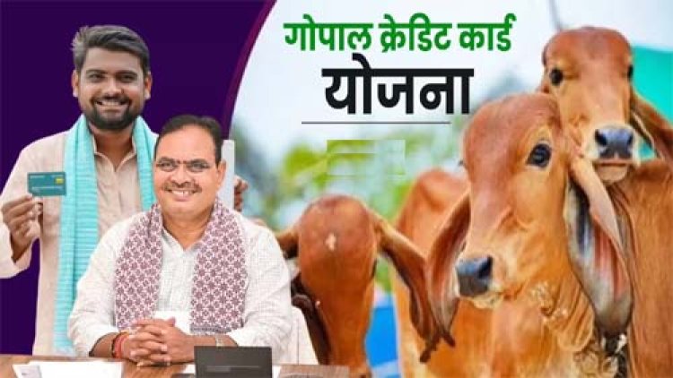 गोपाल क्रेडिट कार्ड योजना में अनियमितताओं पर सख्त कार्रवाई, 181 हेल्पलाइन से 90 हजार लाभार्थियों से फीडबैक: सहकारिता राज्य मंत्री