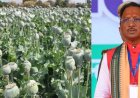अफीम की अवैध खेती पर मुख्यमंत्री विष्णु देव साय का कड़ा रुख