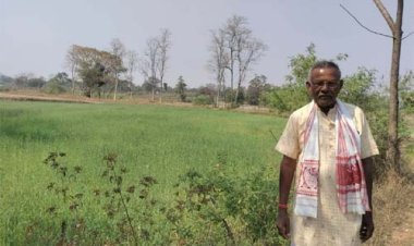 उन्नत तकनीकी विधि से गेहूं उत्पादन में वृद्धि, कम लागत में अधिक मुनाफा