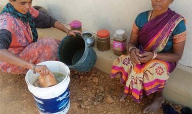 रसायन मुक्त खेती से अनिमा खेस्स ने रची नई इबारत, बनीं अन्य किसानों के लिए प्रेरणा