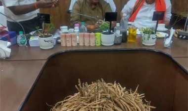 बस्तर और सरगुजा में औषधीय पौधों की योजनाओं का होगा विस्तार : विकास मरकाम