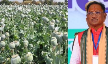 अफीम की अवैध खेती पर मुख्यमंत्री विष्णु देव साय का कड़ा रुख