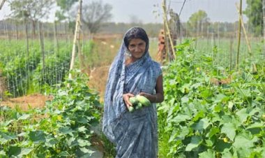 एक एकड़ खेत में धनेश्वरी कर रही हैं खीरे की खेती, अब खुद के साथ दूसरों को भी दे रहीं रोजगार