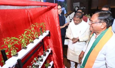 वन आधारित अर्थव्यवस्था को मजबूत करने पर दें जोर: वन मंत्री कश्यप