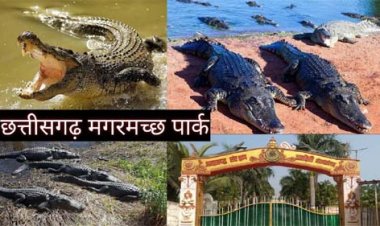 मगरमच्छ संरक्षण से बदली कोटमीसोनार की तस्वीर