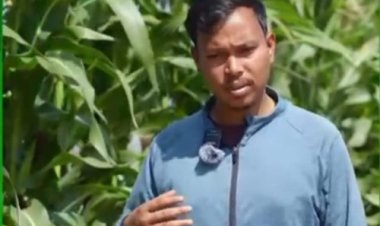 रंग लाई किसान मुकेश की मेहनत, आधुनिक तकनीक से 25 एकड़ में बहुफसली खेती कर बने उन्नत किसान