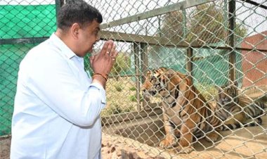 जयपुर में हिमालयन काले भालुओं की नई जोड़ी आकर्षण का केंद्र