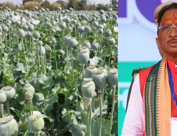 अफीम की अवैध खेती पर मुख्यमंत्री विष्णु देव साय का कड़ा रुख