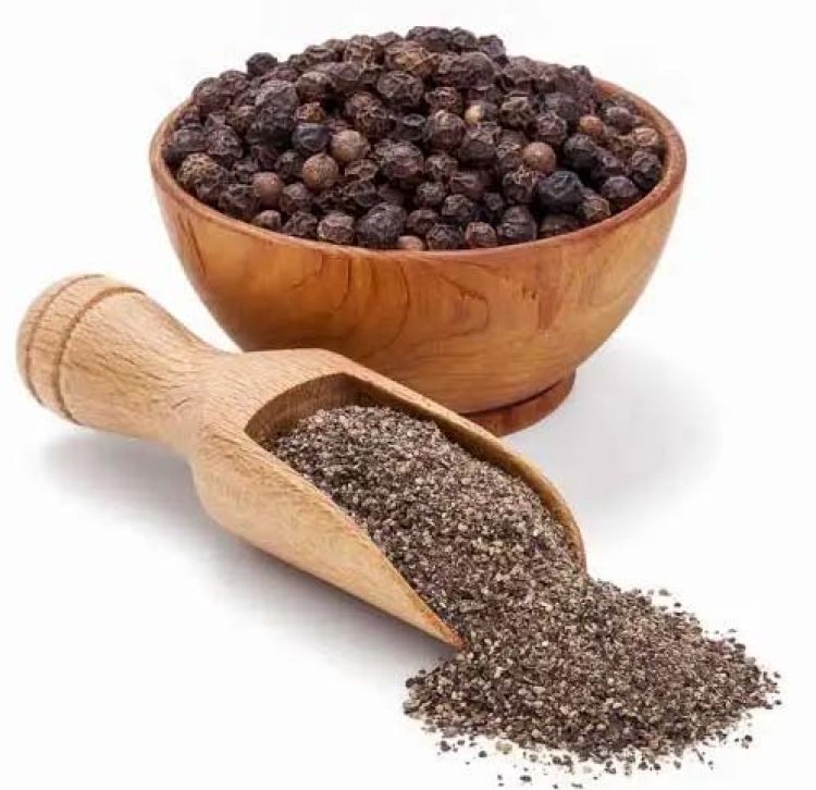 काली मिर्च एक शक्तिशाली औषधि, कई बीमारियों का करती है खात्मा