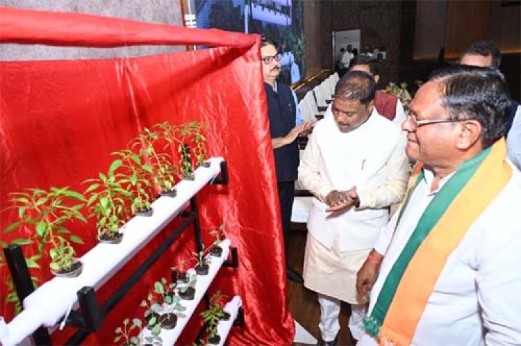 वन आधारित अर्थव्यवस्था को मजबूत करने पर दें जोर: वन मंत्री कश्यप