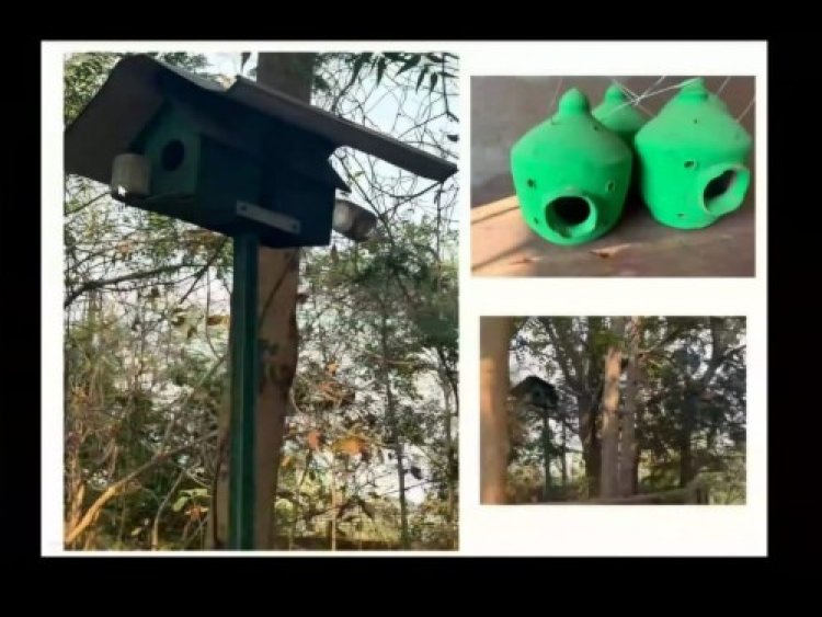 विश्व गौरैया दिवस पर वेबीनार आयोजित : संरक्षण के लिए जागरूकता पर जोर