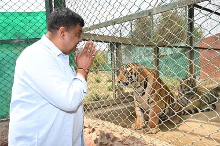 जयपुर में हिमालयन काले भालुओं की नई जोड़ी आकर्षण का केंद्र