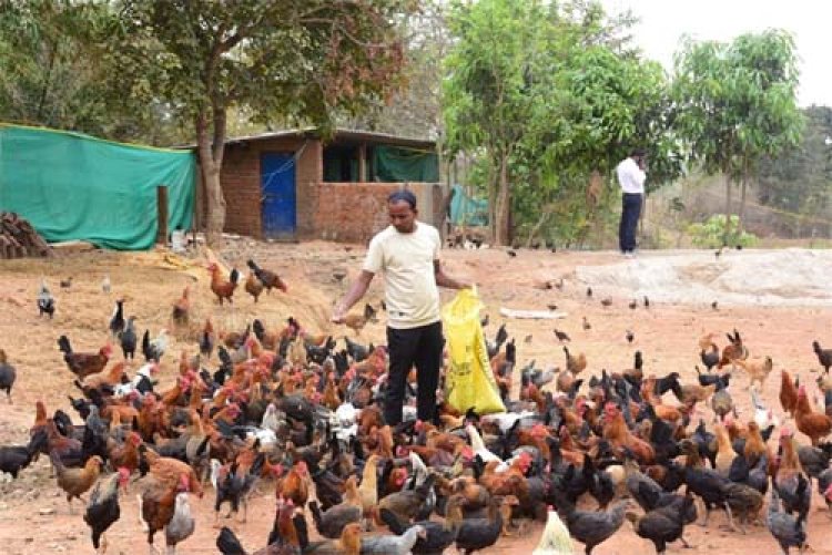 प्रधानमंत्री मत्स्य संपदा योजना, मछली पालन और कृषि से ग्राम पल्ली के किसान पाकलू मरकाम हुए सशक्त 