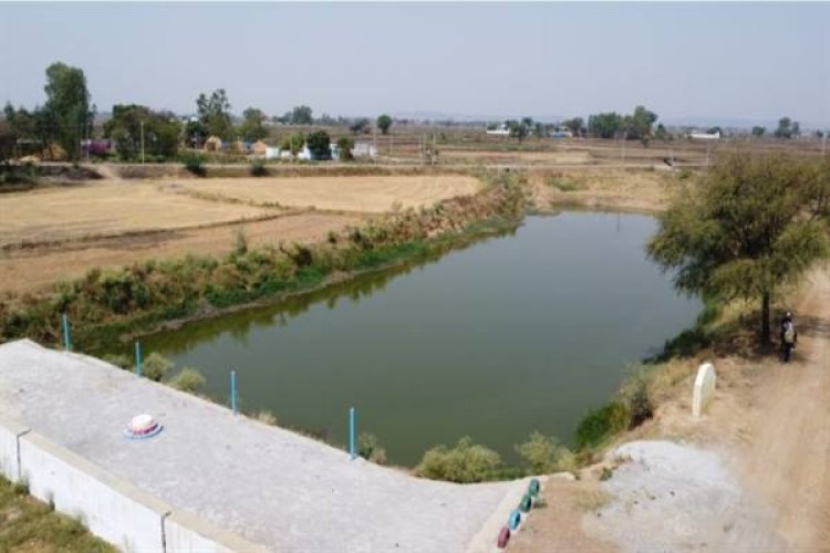 अमृत सरोवर से रिझोरा में लौटी हरियाली और खुशहाली