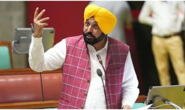 भारत-US ट्रेड डील: CM मान ने बताया किसानों के लिए खतरनाक, पंजाब विधानसभा में निंदा प्रस्ताव पारित