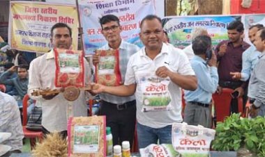 लैलूंगा की पहचान बना ‘केलो’ जैविक जंवाफूल चावल