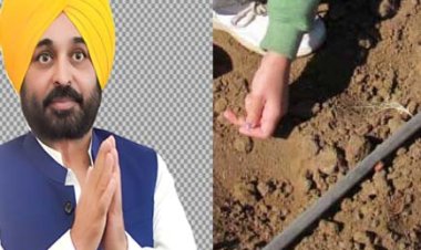 मिट्टी की गिरती सेहत को सुधारने मान सरकार की नई पहल 'मिटटी से थाली तक', किसानों को होगा फायदा