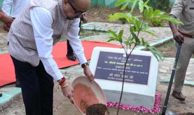 राज्यपाल रमेन डेका ने जशपुर के मातृत्व वन में किया सीता अशोक के पौधे का रोपण