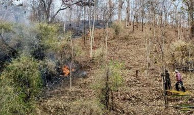 25 हजार हेक्टेयर क्षेत्र में ‘फायर अलर्ट’ सिस्टम बना मजबूत सुरक्षा कवच