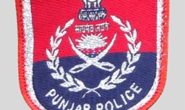 गैंगस्टरों पर वार का 81वां दिन: पंजाब पुलिस ने की 516 स्थानों पर छापेमारी, 239 गिरफ्तार