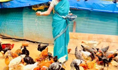 एकीकृत कृषि और आजीविका के लिए  'दीदी के बखरी' से आ रही नई क्रांति कांकेर जिले की पहल