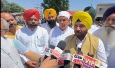 सांसद अशोक मित्तल पर ईडी की दबिश के बाद केंद्र पर बरसे सीएम भगवंत मान, बोले ये भाजपा का 'चुनावी स्टाइल'