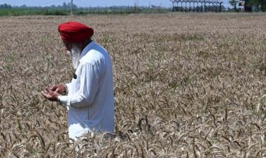 आजाद होगी पंजाब के किसानों की 21 हजार एकड़ जमीन! भारत-पाक सीमा पर कंटीली बाड़ शिफ्ट करेगी सरकार