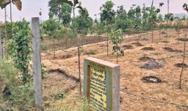 नरहरपुर-टूरी व्यपवर्तन योजना के मरम्मत कार्य के लिए 14.11 करोड़ की मिली पुनरीक्षित स्वीकृति