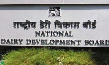 डेयरी योजना से सशक्त हो रहीं ग्रामीण महिलाएं