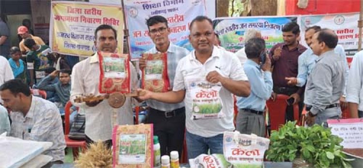 लैलूंगा की पहचान बना ‘केलो’ जैविक जंवाफूल चावल