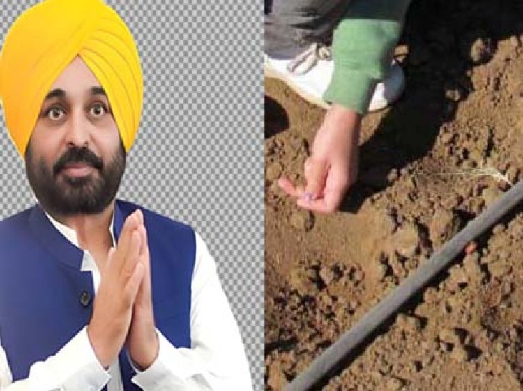 मिट्टी की गिरती सेहत को सुधारने मान सरकार की नई पहल 'मिटटी से थाली तक', किसानों को होगा फायदा