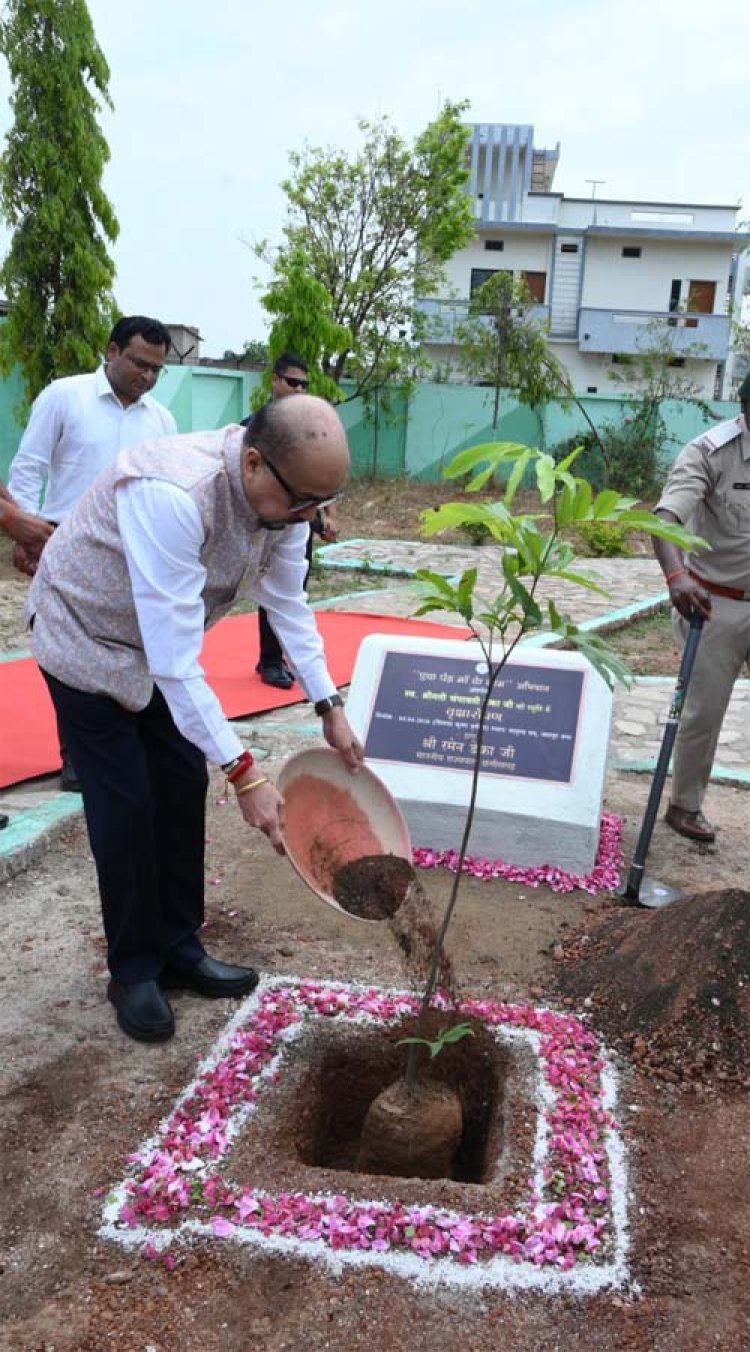 राज्यपाल रमेन डेका ने जशपुर के मातृत्व वन में किया सीता अशोक के पौधे का रोपण