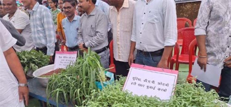 हरी खाद से बदल रही खेती की तस्वीर: कम लागत, बेहतर मुनाफा और स्वस्थ मिट्टी’