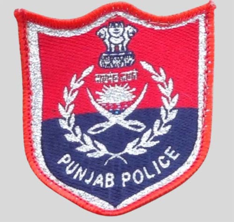 गैंगस्टरों पर वार का 81वां दिन: पंजाब पुलिस ने की 516 स्थानों पर छापेमारी, 239 गिरफ्तार