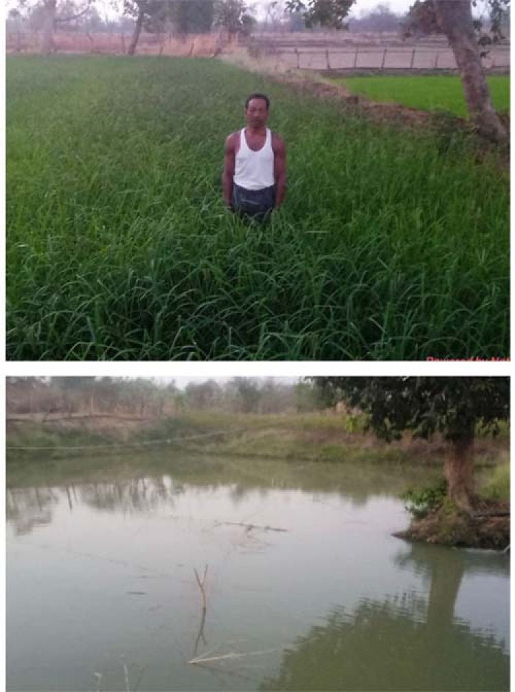 बहुआयामी खेती से बढ़ी आय, सगनू बने गांव के रोल मॉडल